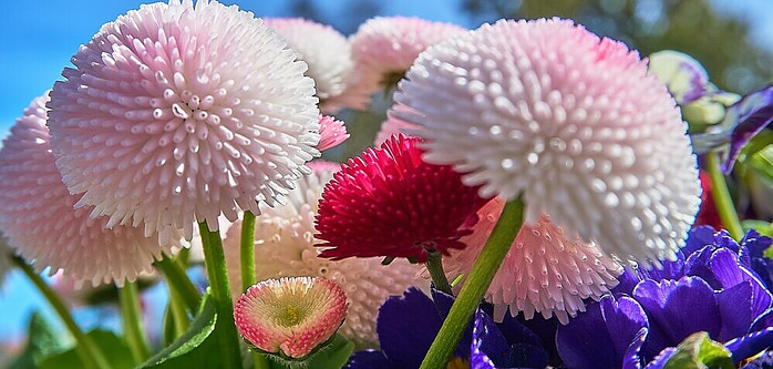 Visiting their Grave with flowers